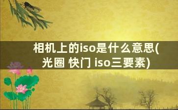 相机上的iso是什么意思(光圈 快门 iso三要素)